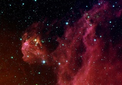 Young Stars Emerging from Orion's Head