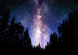Night Sky _ Milky Way