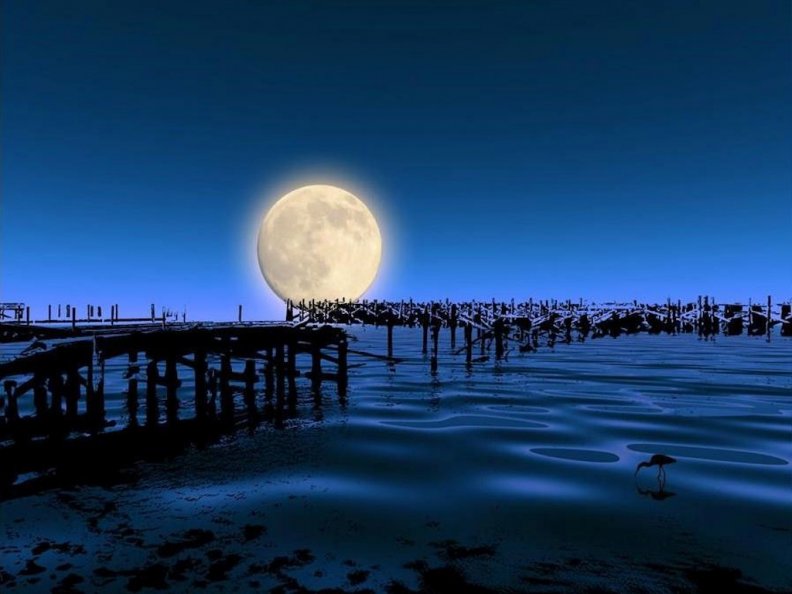 moon_over_wharf.jpg