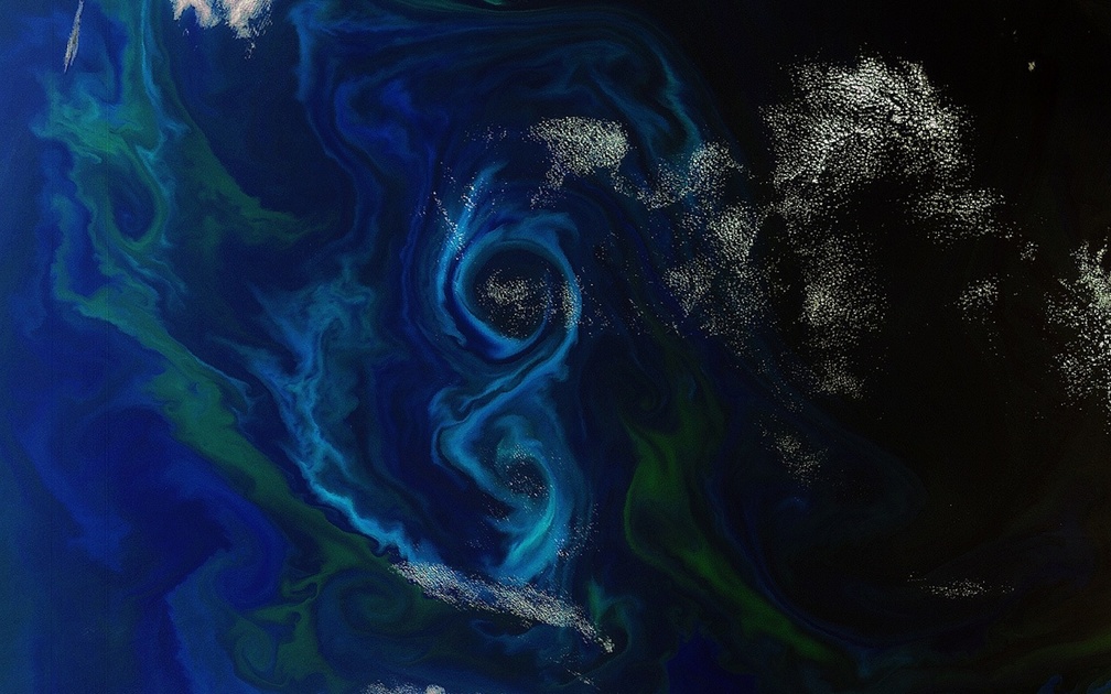 Algae Bloom Figure from ESA Satellite