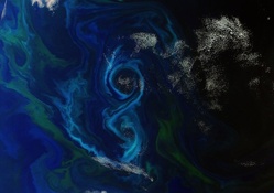 Algae Bloom Figure from ESA Satellite