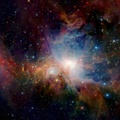 Bright Stars in Orion Nebula