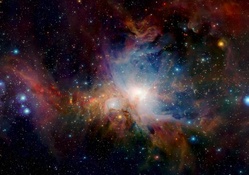 Bright Stars in Orion Nebula