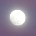Dusk Moon