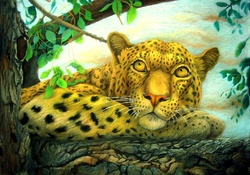 'Pensive Leopard'