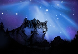 Northern Sky Wolves