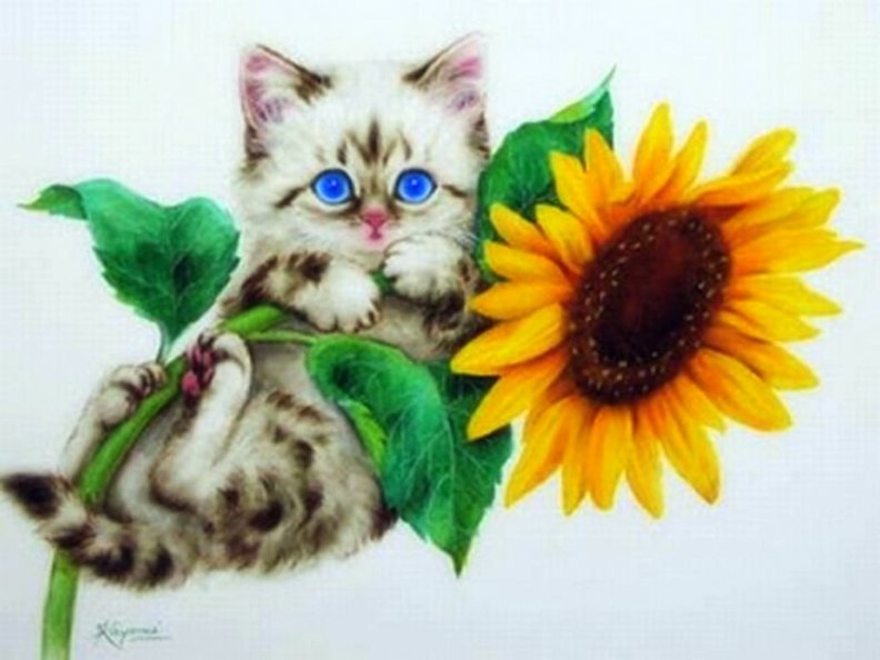 ..Sunflower Kitten..