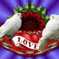 Love_Doves