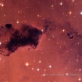 Bok Globules in NGC 281