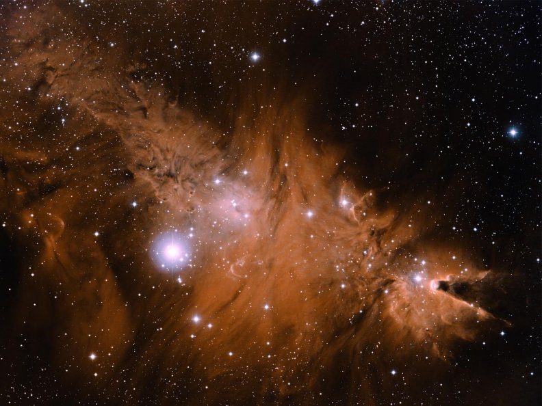 Cone Nebula Stars