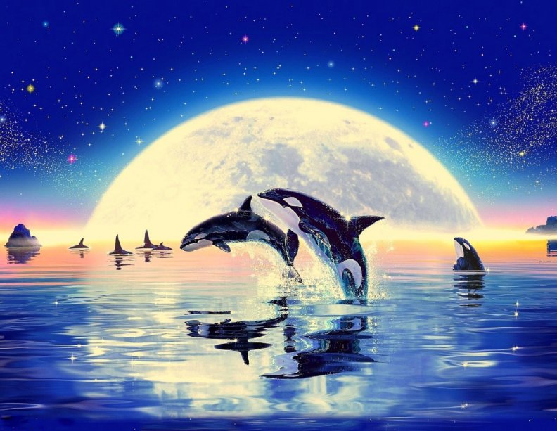 killer_whales_in_moonlight.jpg