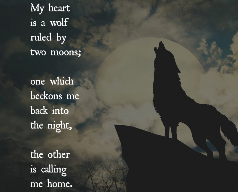 my_heart_is_a_wolf.jpg