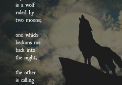 My_heart_is_a_wolf