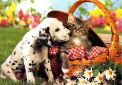 ..Kiss in the Basket..