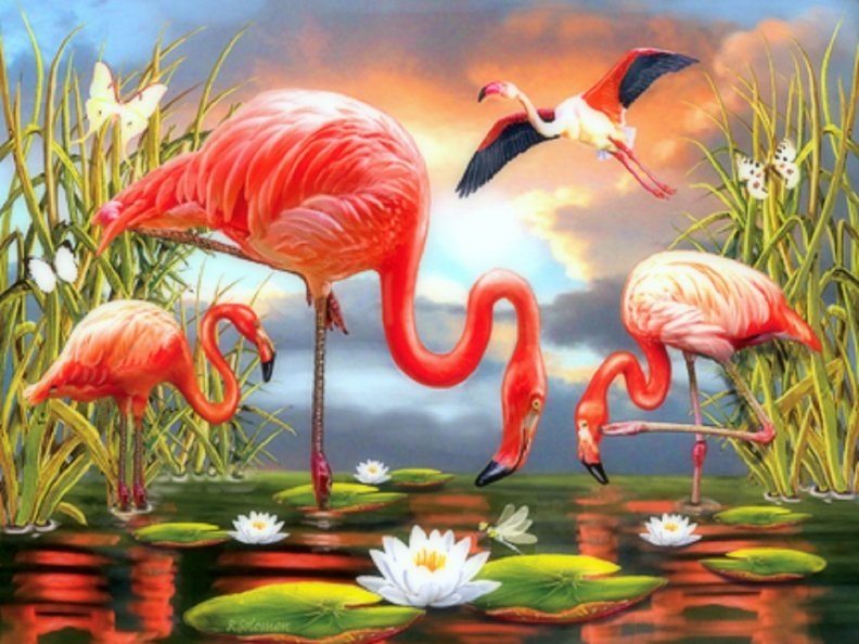 red_flamingos.jpg