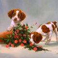Puppies with Roses
