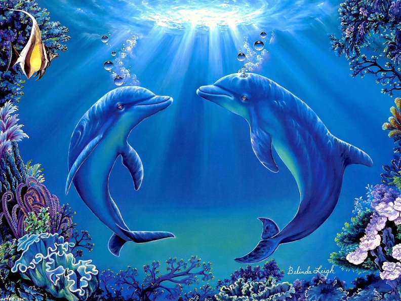 ★Dolphins Dance★