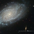 Spiral Galaxy NGC 3370
