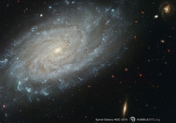 Spiral Galaxy NGC 3370