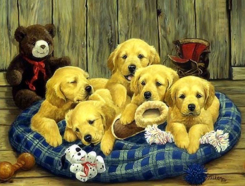 ..A Pack of Puppies..