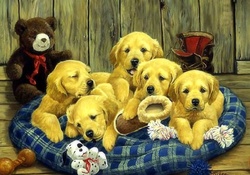 ..A Pack of Puppies..