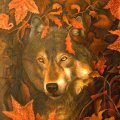 Wolf's Soul in Autumn