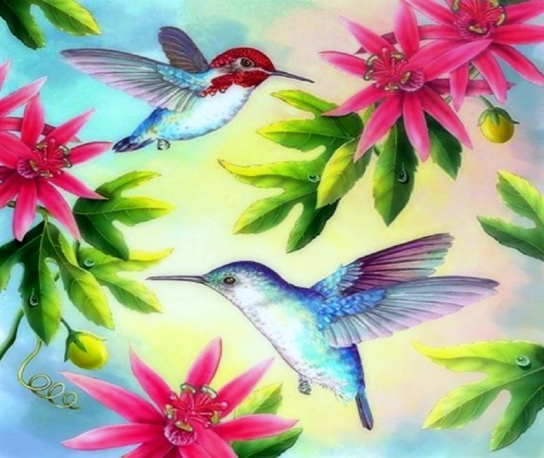 bee_hummingbirds.jpg