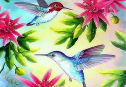 'Bee Hummingbirds'