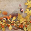 Autumn Bird and Leaves