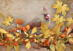 Autumn Bird and Leaves