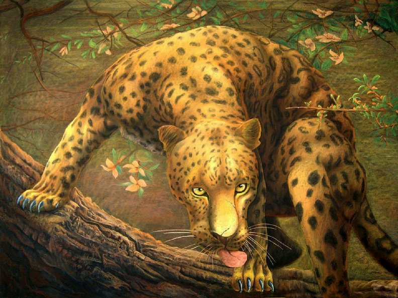leopard_sees_prey.jpg