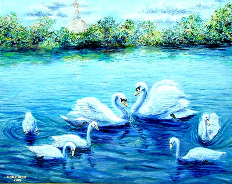 swans.jpg