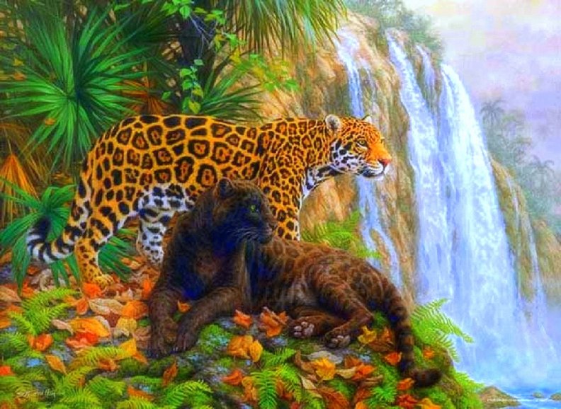 El Dorado _ Jaguars