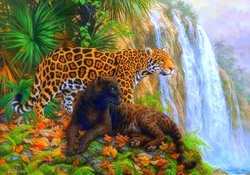 El Dorado _ Jaguars