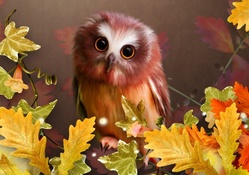 Cute Autumn Owl