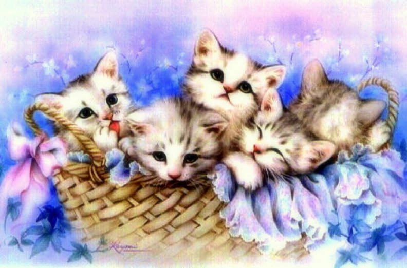 ..Angels in the Basket..