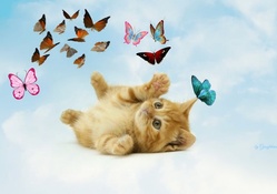 Kitten &amp; Butterflies Fantasty