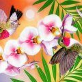 'Annas Hummingbirds & Phaleonopsis'