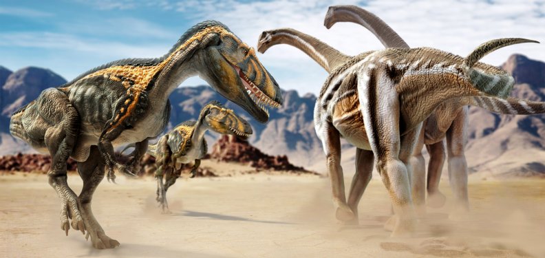 Allosaurus vs Camarasaurus