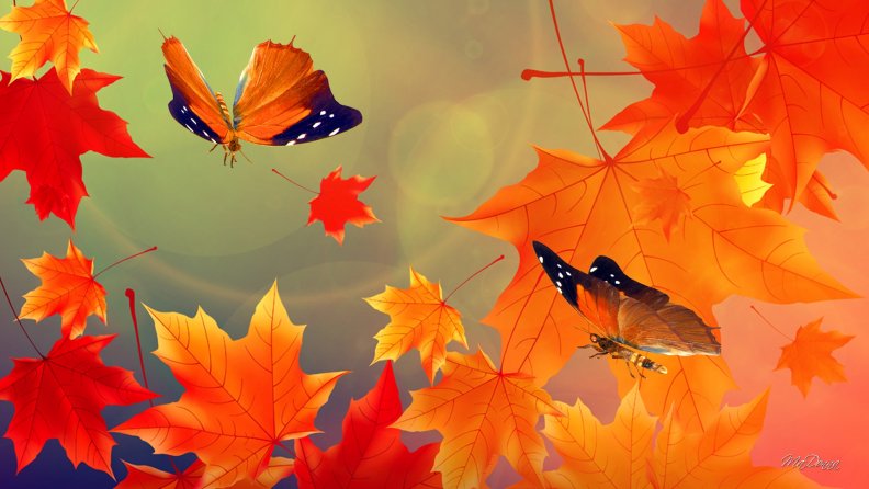 fall_bright_butterflies.jpg