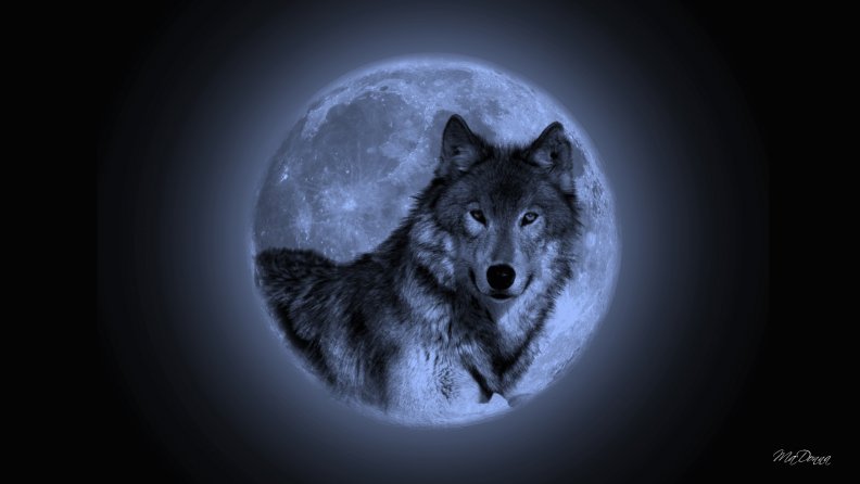 wolf_blue_moon.jpg