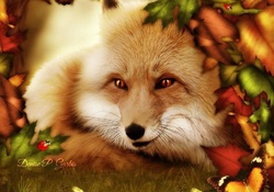 Cute Little Fox