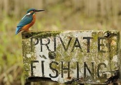 Private fishing