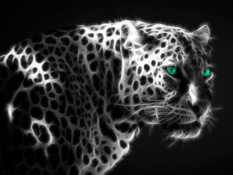 stealth_leopard.jpg