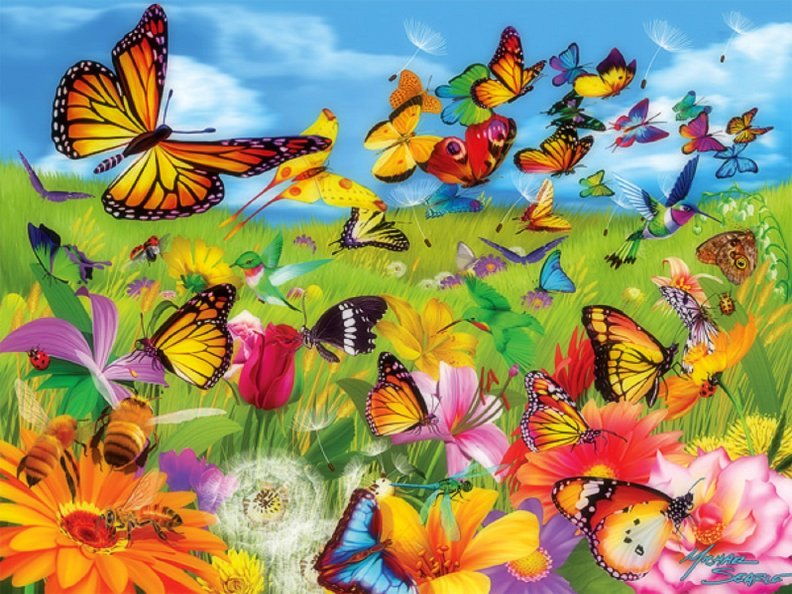 butterfly_flutter.jpg