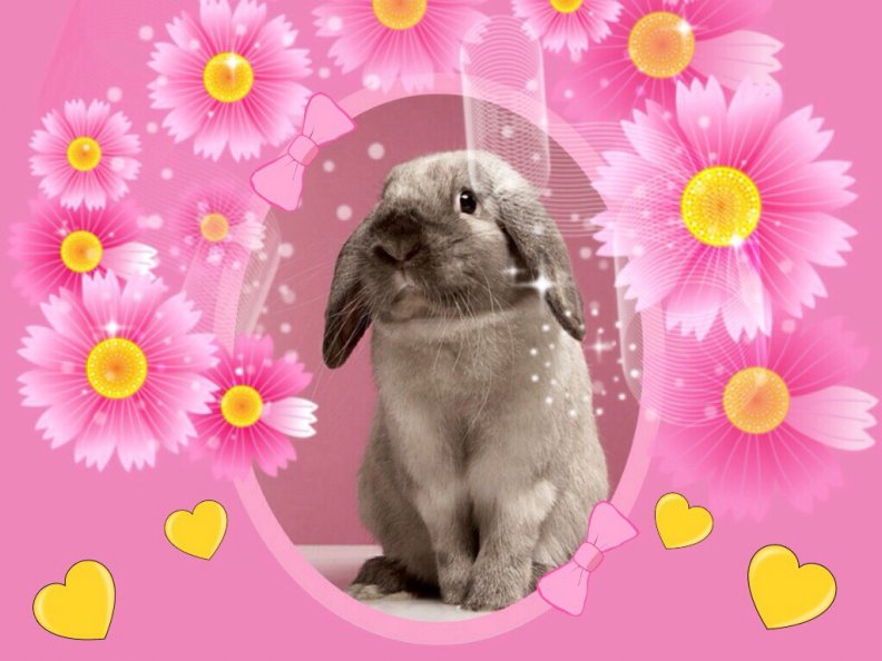 miss_rabbit_in_pink.jpg