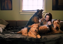 * Girl with dogs *