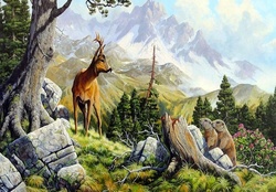 Mountain wildlife
