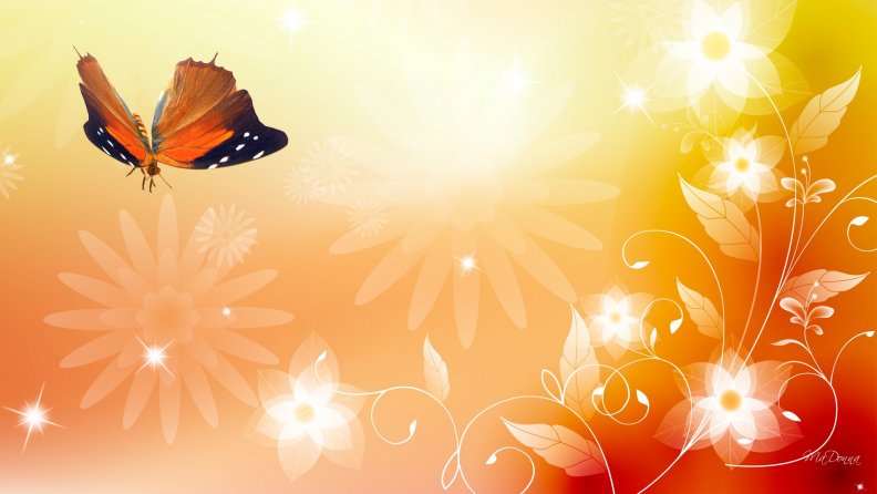 sunshine_spring_summer_butterfly.jpg