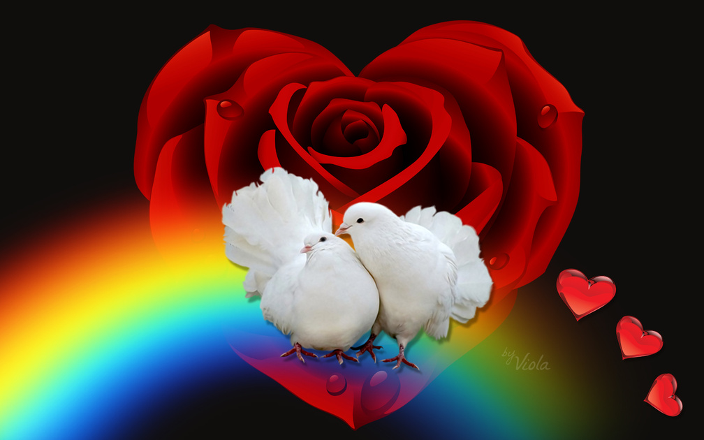 Doves In Love♥